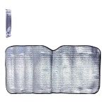PARASOL CARRO PRATA 1573-100 CX50