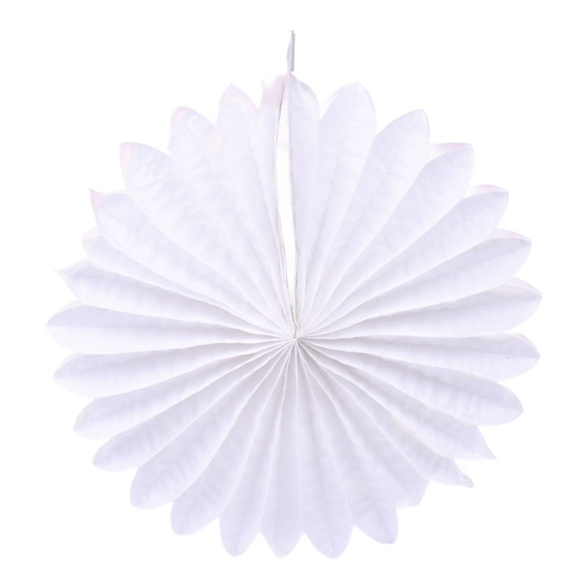 BALAO DEC. 50CM 1630-022-50 CX192 BALAO DEC. 50CM 1630-022-50 CX192