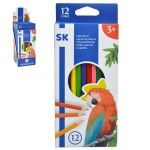 LAPIS DE COR 12UN 1698-100-12