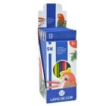 LAPIS DE COR 12UN 1698-100-12