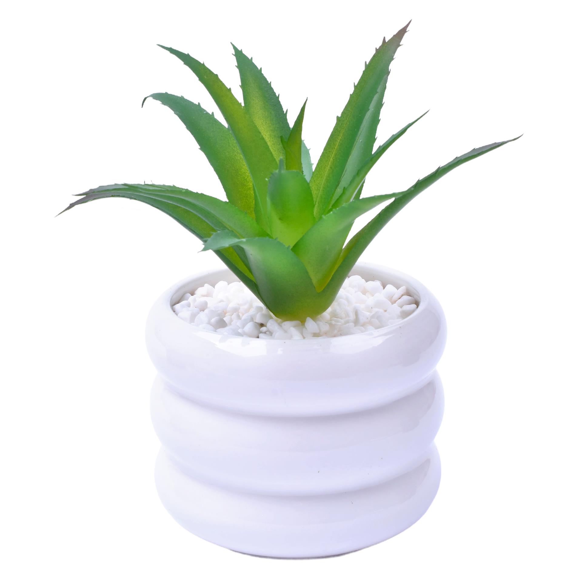 VASO C/CACTO 8,5X7 2070-43 CX48 VASO C/CACTO 8,5X7 2070-43 CX48