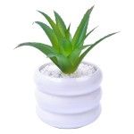 VASO C/CACTO 8,5X7 2070-43 CX48