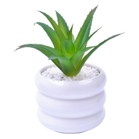 VASO C/CACTO 8,5X7 2070-43 CX48 VASO C/CACTO 8,5X7 2070-43 CX48