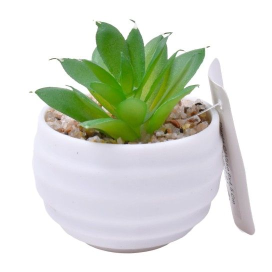 PLANTA C/VASO 6X4,5CM 2884-007-01 CX192