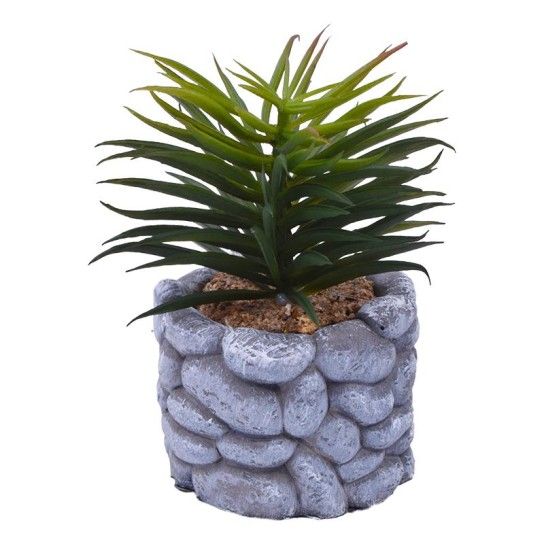 VASO C/CATO 6.5X5.5CM 2639-200 CX96 VASO C/CATO 6.5X5.5CM 2639-200 CX96