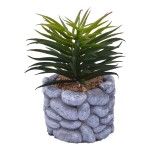 VASO C/CATO 6.5X5.5CM 2639-200 CX96