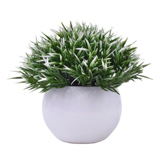 PLANTA C/ VASO 2440-013 CX144 PLANTA C/ VASO 2440-013 CX144