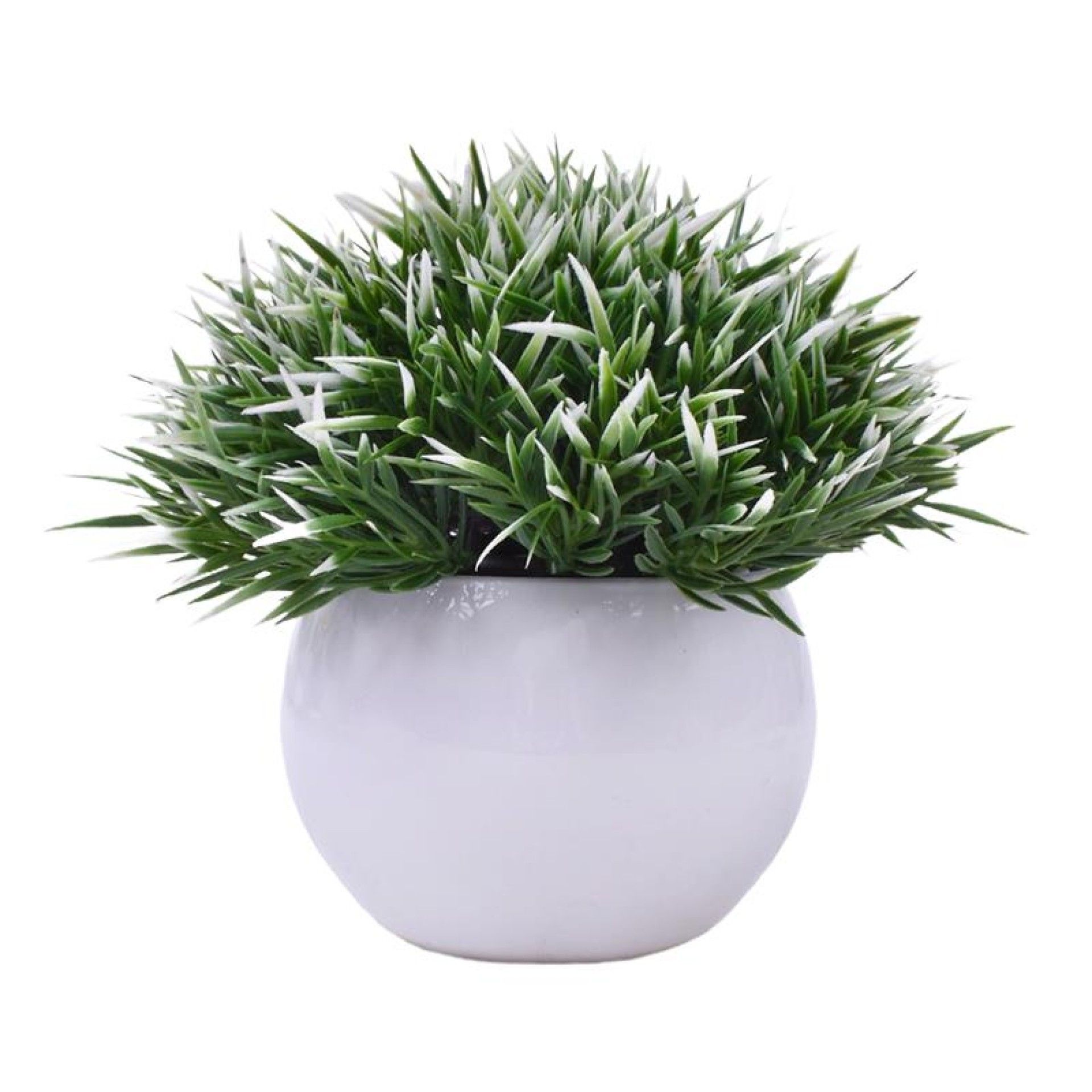 PLANTA C/ VASO 2440-013 CX144 PLANTA C/ VASO 2440-013 CX144