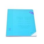 CADERNO AGRAFADO A5  PAUTADO 48F