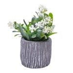 PLANTA C/ VASO 202-996-01 CX96