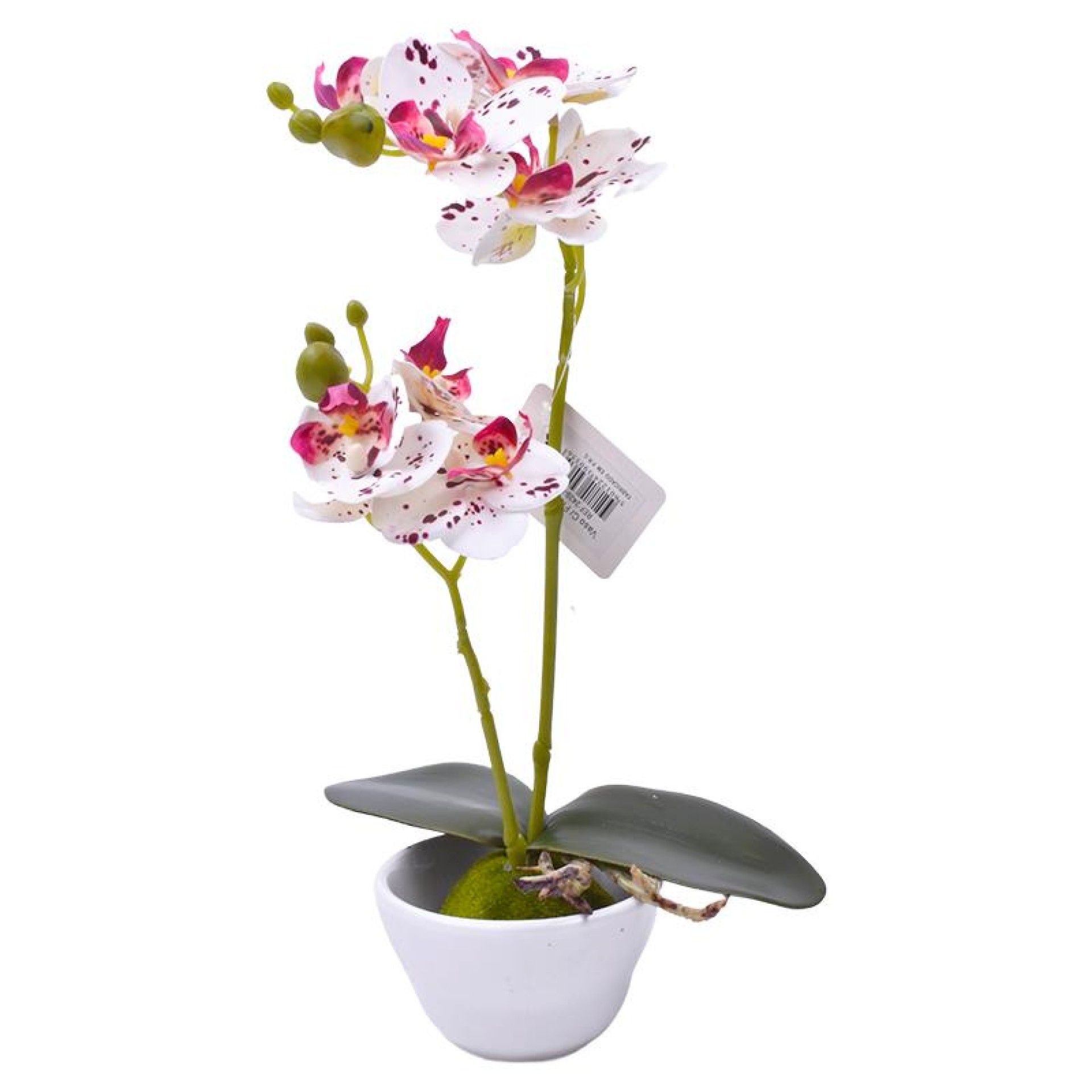 VASO C/FLOR 9X32 2439-035 CX72 VASO C/FLOR 9X32 2439-035 CX72