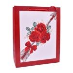 SACO 18X23X10CM 2419-505 CX360