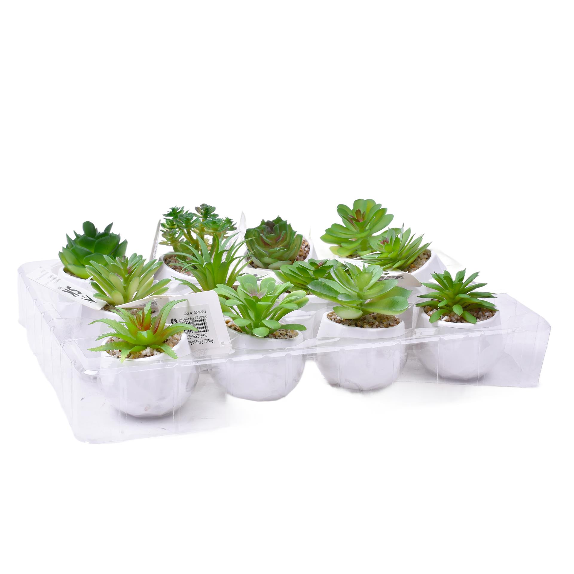 PLANTA C/VASO 6X4,5CM 2884-007 CX192 PLANTA C/VASO 6X4,5CM 2884-007 CX192