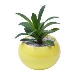 VASO C/CACTO 2070-42-01 CX48