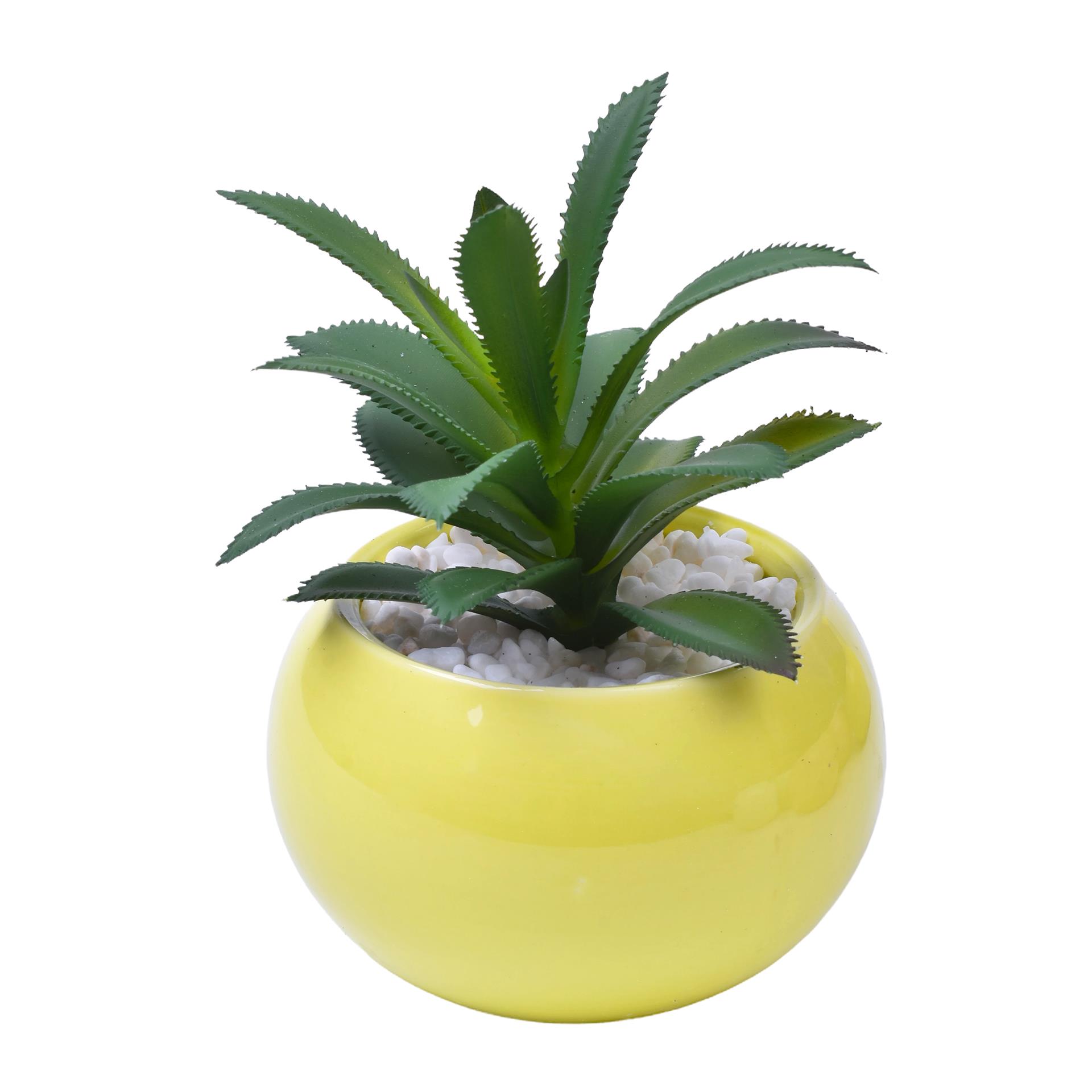 VASO C/CACTO 2070-42-01 CX48 VASO C/CACTO 2070-42-01 CX48