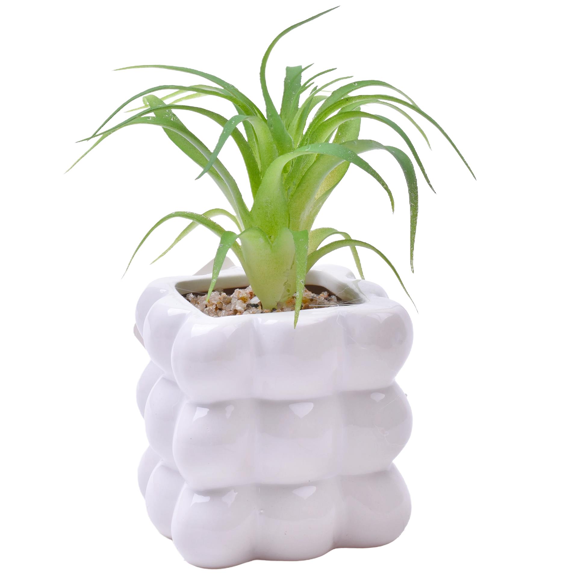 PLANTA C/VASO 8X8X8CM 2884-008-01 CX96 PLANTA C/VASO 8X8X8CM 2884-008-01 CX96