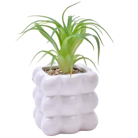PLANTA C/VASO 8X8X8CM 2884-008-01 CX96 PLANTA C/VASO 8X8X8CM 2884-008-01 CX96