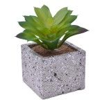 VASO C/CATO 6.4X6.3X5.2CM 2639-205 CX96 VASO C/CATO 6.4X6.3X5.2CM 2639-205 CX96
