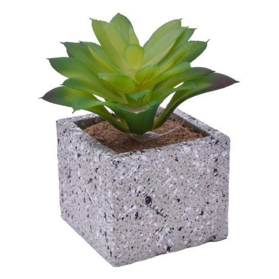 VASO C/CATO 6.4X6.3X5.2CM 2639-205 CX96 VASO C/CATO 6.4X6.3X5.2CM 2639-205 CX96