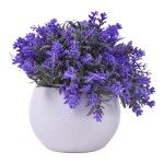 PLANTA C/ VASO 2440-012 CX144