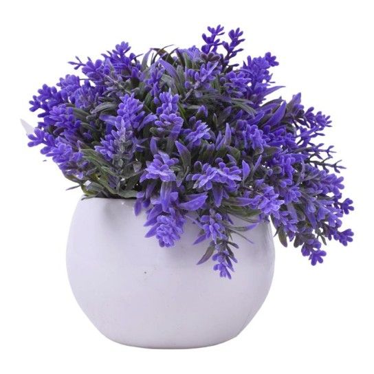 PLANTA C/ VASO 2440-012 CX144