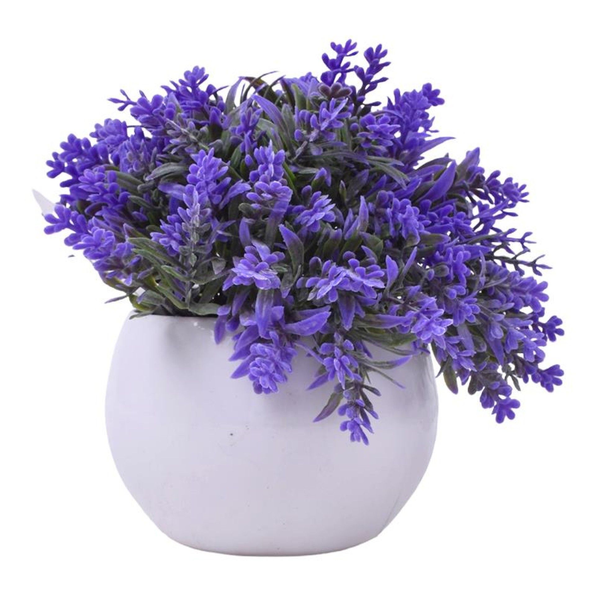 PLANTA C/ VASO 2440-012 CX144