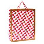 SACO 32X26X10CM 3024-200-01CX240