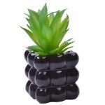 PLANTA C/VASO 8X8X8CM 2884-008-01 CX96 PLANTA C/VASO 8X8X8CM 2884-008-01 CX96