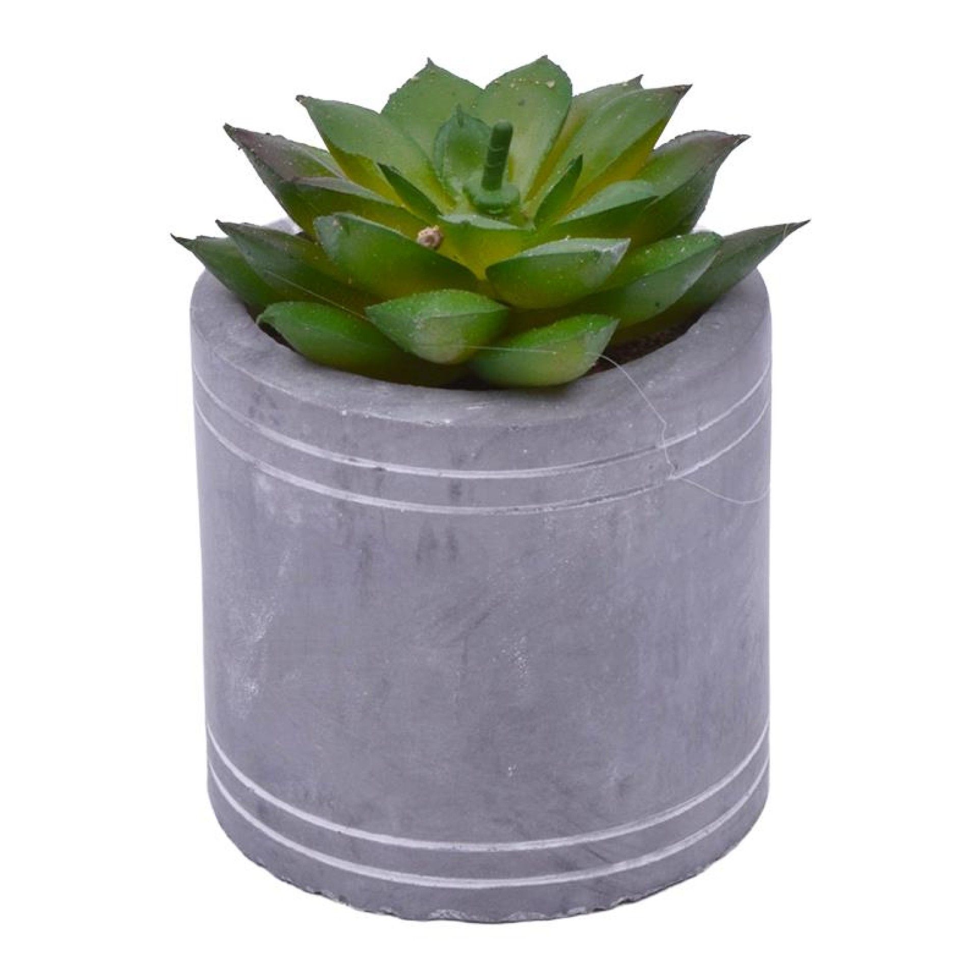 VASO C/CATO 6.3X6.3CM 2639-202 CX96 VASO C/CATO 6.3X6.3CM 2639-202 CX96