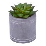 VASO C/CATO 6.3X6.3CM 2639-202 CX96 VASO C/CATO 6.3X6.3CM 2639-202 CX96