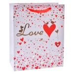 SACO 32X26X12CM 3025-000-02 CX300