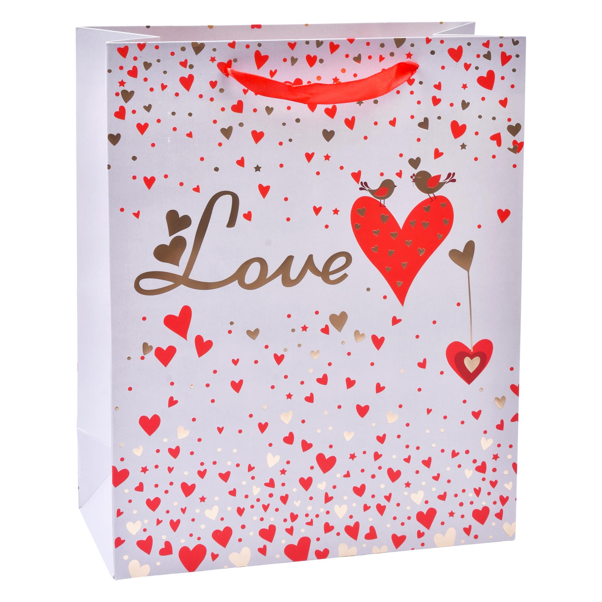 SACO 32X26X12CM 3025-000-02 CX300 SACO 32X26X12CM 3025-000-02 CX300