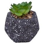 VASO DEC 2574-003 CX72