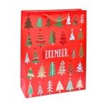 SACO NATAL 18X24X8,5 2710-004 CX360
