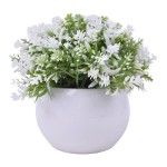 PLANTA C/ VASO 2440-012 CX144