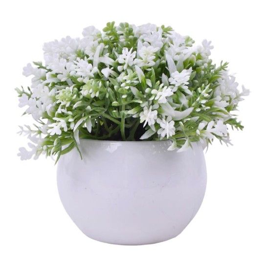 PLANTA C/ VASO 2440-012 CX144