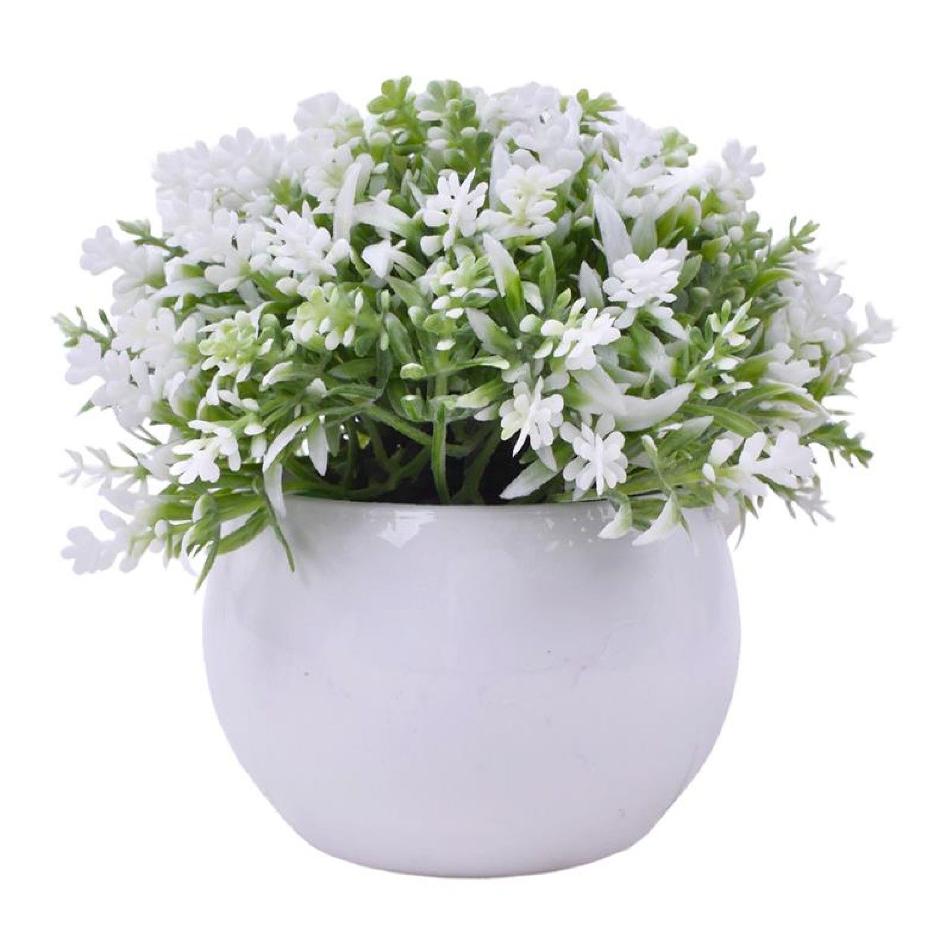 PLANTA C/ VASO 2440-012 CX144