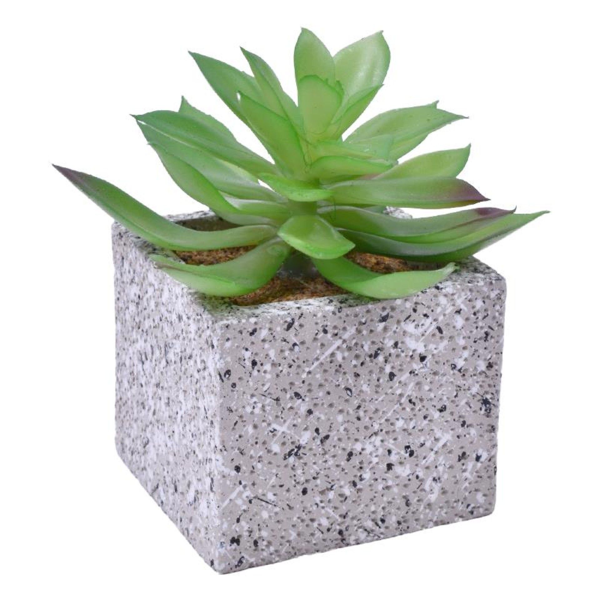 VASO C/CATO 6.4X6.3X5.2CM 2639-205 CX96 VASO C/CATO 6.4X6.3X5.2CM 2639-205 CX96