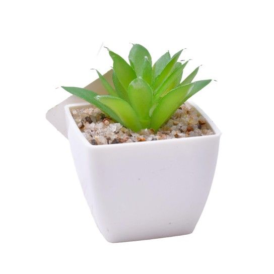 PLANTA C/VASO 6X6X5CM 2884-007-02 CX192 PLANTA C/VASO 6X6X5CM 2884-007-02 CX192