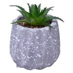 VASO DEC 2574-002 CX72