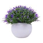 PLANTA C/ VASO 2440-013 CX144
