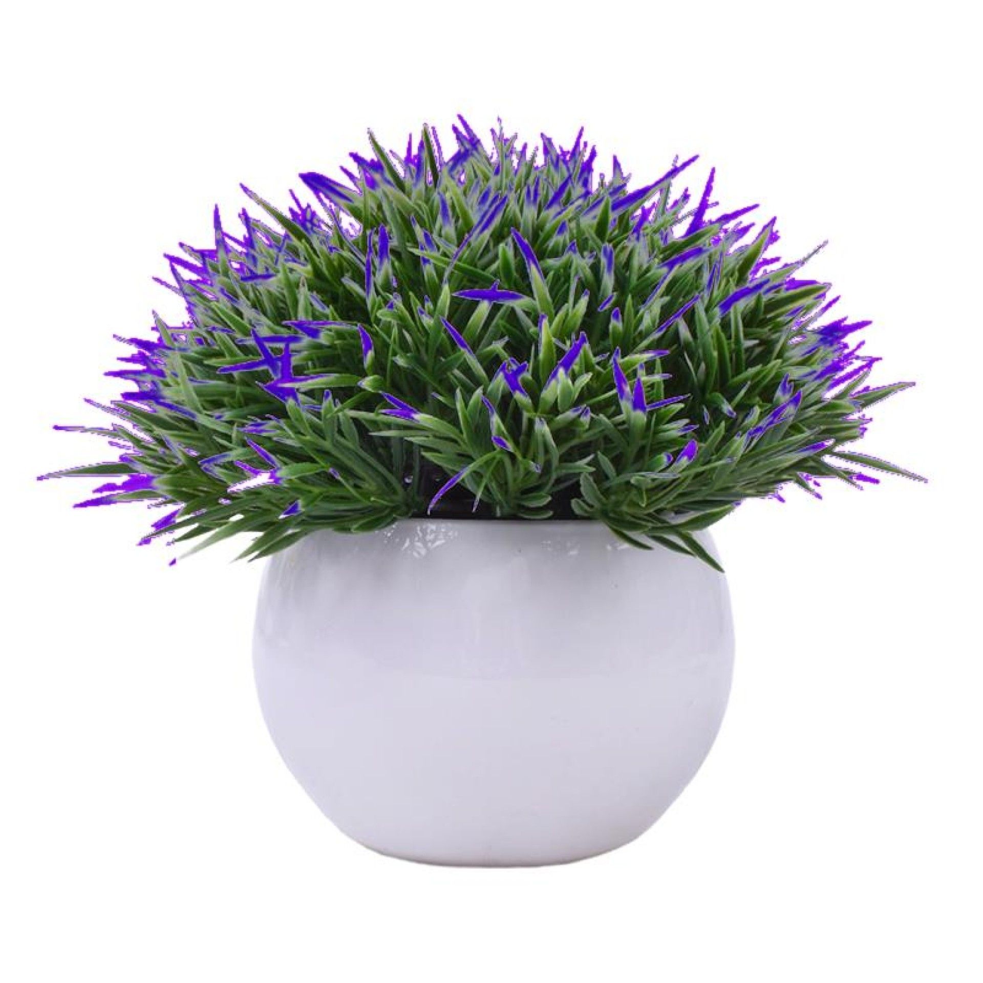 PLANTA C/ VASO 2440-013 CX144 PLANTA C/ VASO 2440-013 CX144