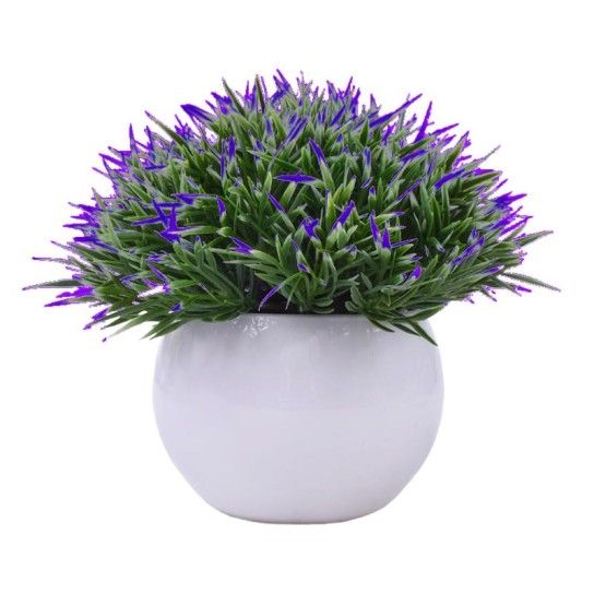 PLANTA C/ VASO 2440-013 CX144 PLANTA C/ VASO 2440-013 CX144