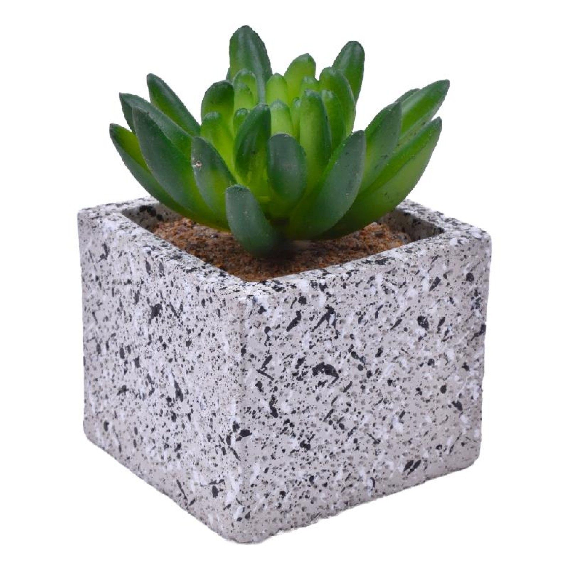 VASO C/CATO 6.4X6.3X5.2CM 2639-205 CX96 VASO C/CATO 6.4X6.3X5.2CM 2639-205 CX96