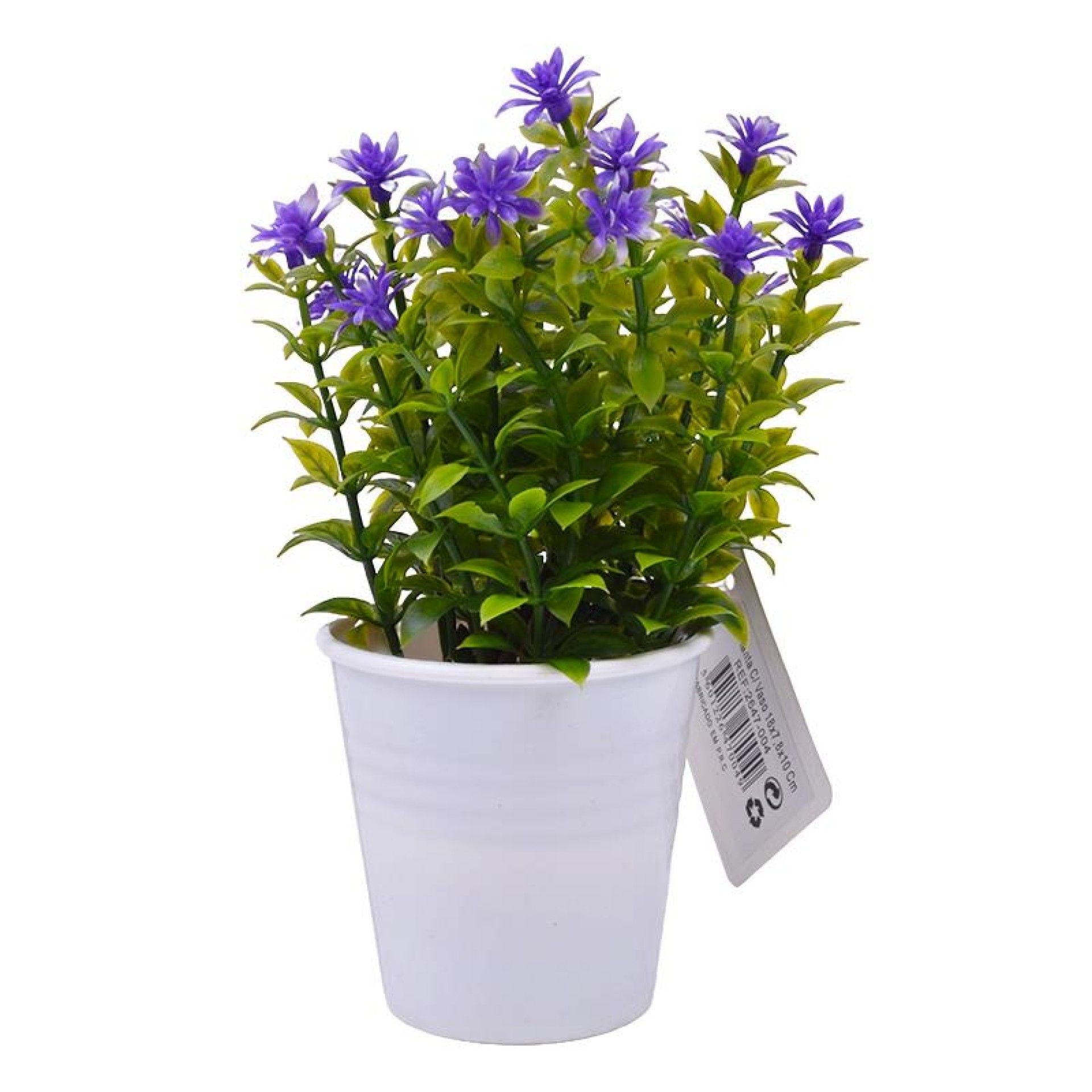 PLANTA C/ VASO 2647-004 CX144 PLANTA C/ VASO 2647-004 CX144
