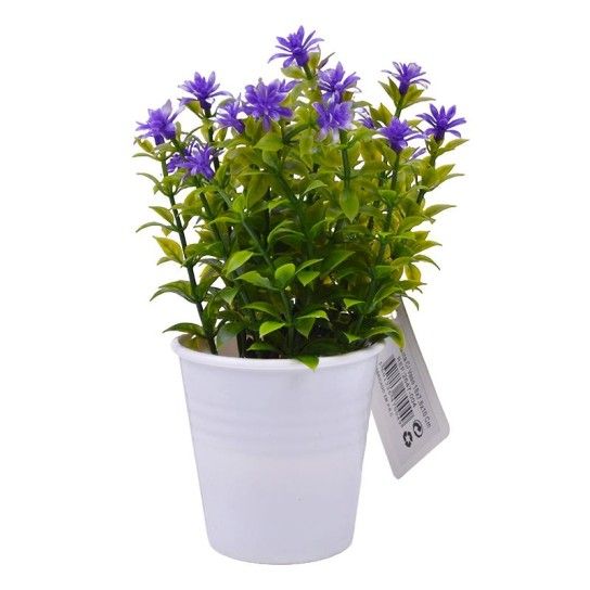 PLANTA C/ VASO 2647-004 CX144 PLANTA C/ VASO 2647-004 CX144