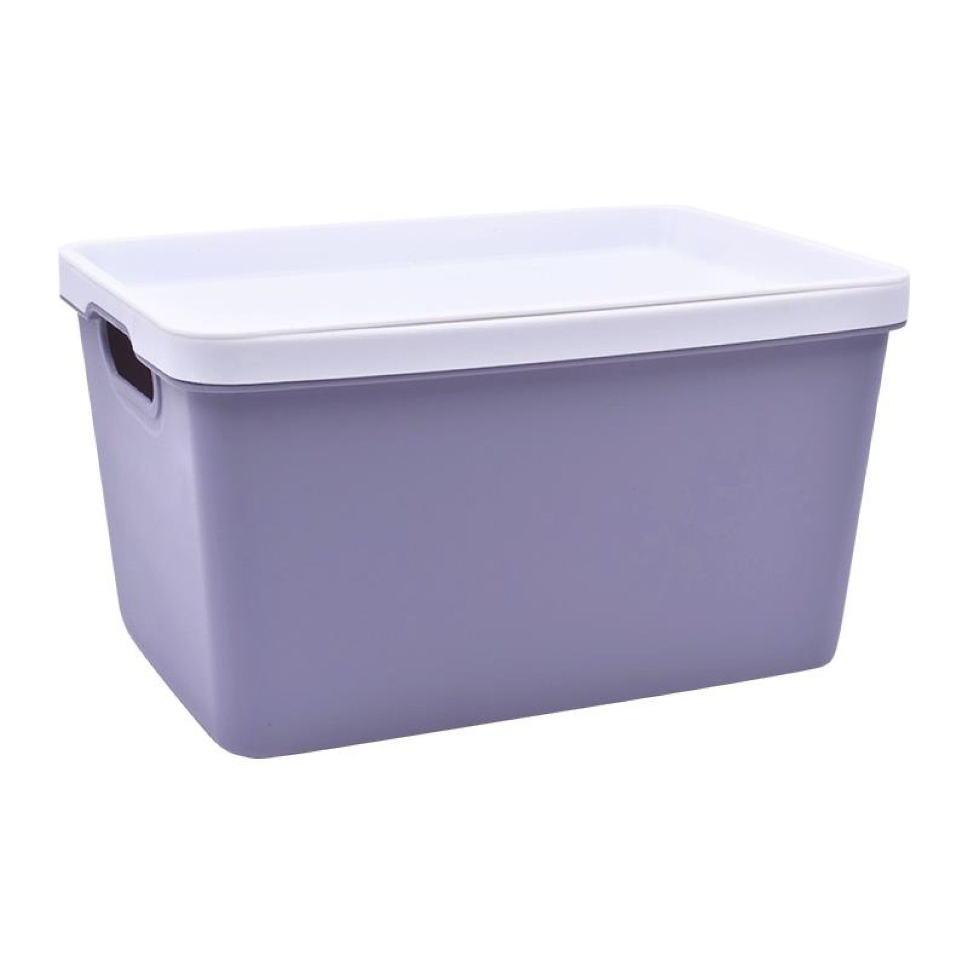 CESTO PLAST C/ASAS 2630-513-02 CX80 CESTO PLAST C/ASAS 2630-513-02 CX80