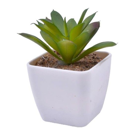 VASO C/CATO 4.5X4.5X4.8CM 2639-000 CX240 VASO C/CATO 4.5X4.5X4.8CM 2639-000 CX240