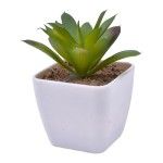 VASO C/CATO 4.5X4.5X4.8CM 2639-000 CX240 VASO C/CATO 4.5X4.5X4.8CM 2639-000 CX240