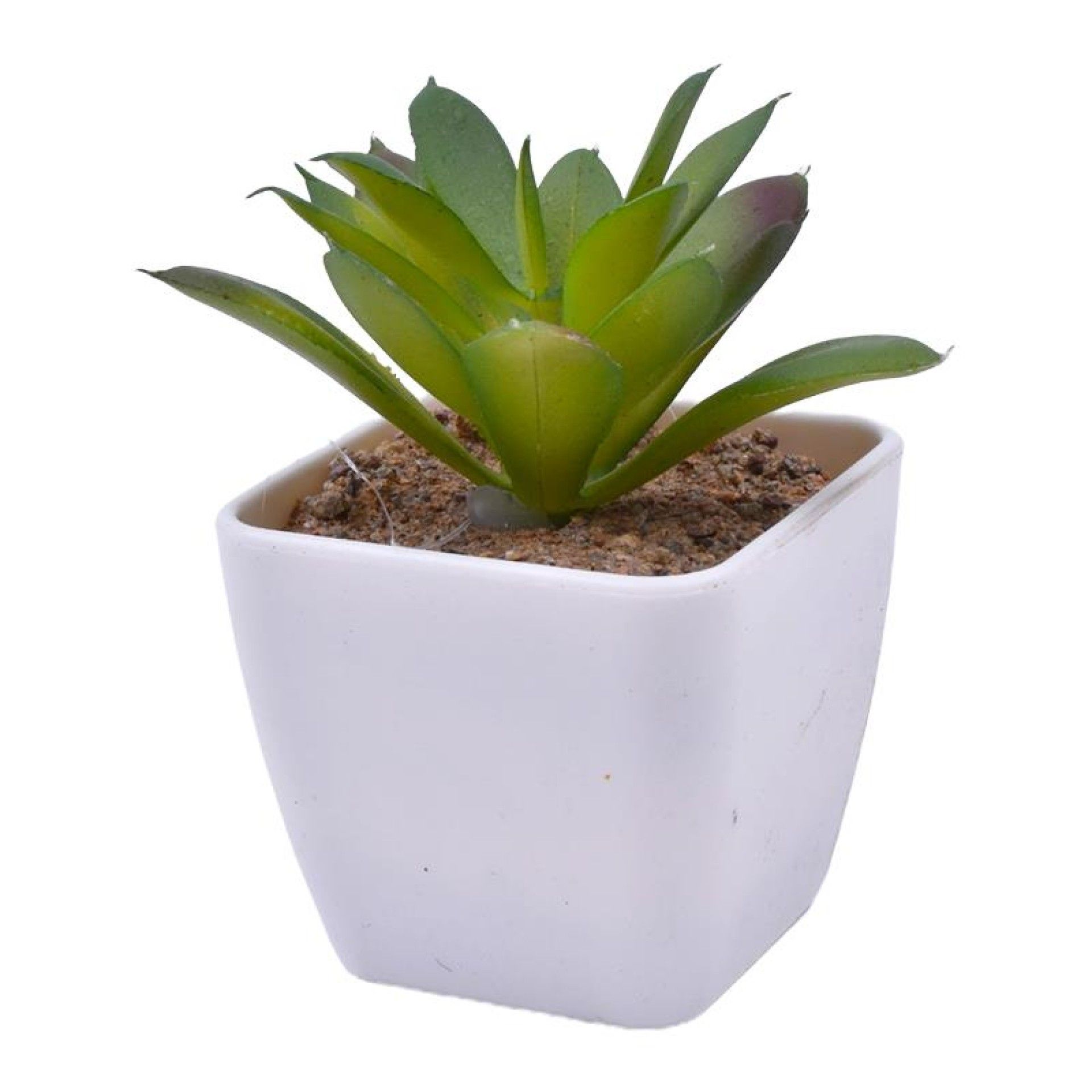 VASO C/CATO 4.5X4.5X4.8CM 2639-000 CX240 VASO C/CATO 4.5X4.5X4.8CM 2639-000 CX240